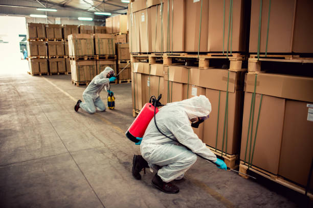 Best Affordable Pest Control Services  in Rehobeth, AL