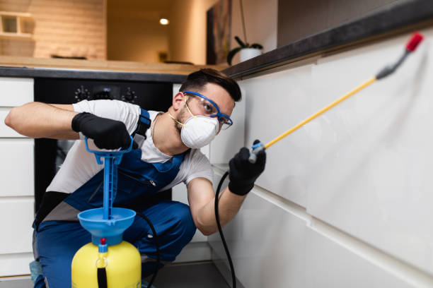 Best Pest Removal Services  in Rehobeth, AL