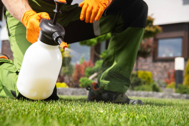 Best Wildlife Control Services  in Rehobeth, AL
