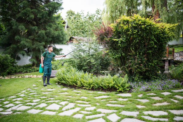 Best Best Pest Control Companies  in Rehobeth, AL