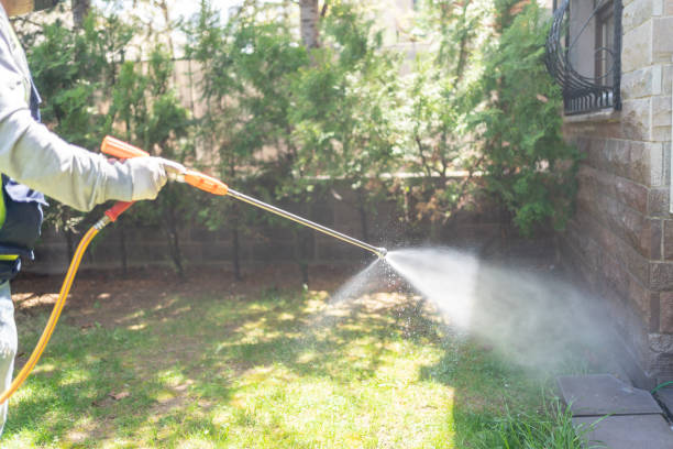 Best Local Pest Control Services  in Rehobeth, AL