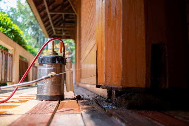 Best Mosquito Control Services  in Rehobeth, AL