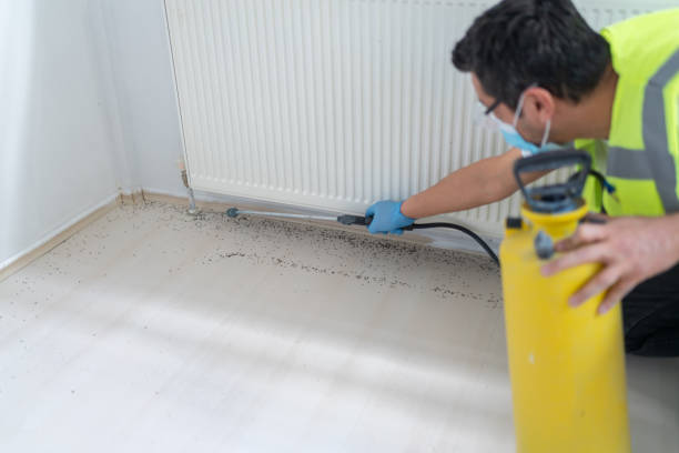 Best Exterminator Services  in Rehobeth, AL